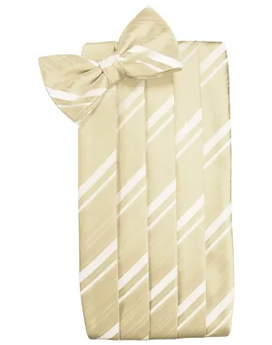 Bamboo Striped Satin Cummerbund