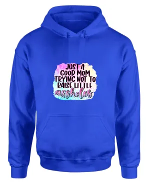 Just a Good mom trying not to raise little *ssholes hoodie