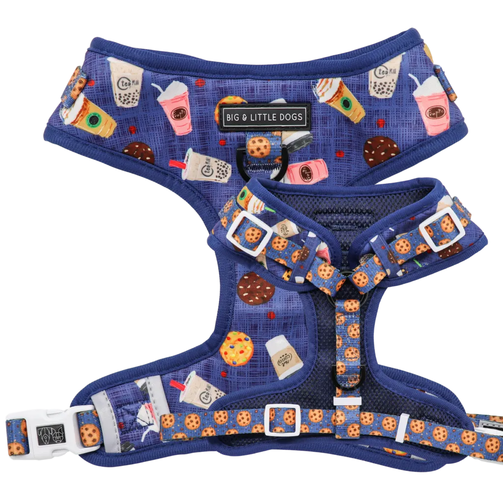 "Cafe O'Clock" Adjustable Harness