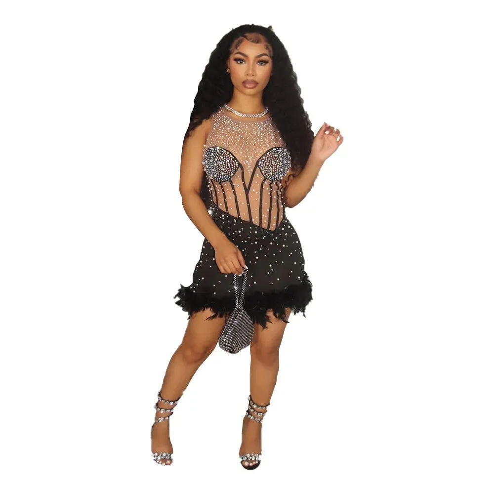 Sexy Mesh Diamond Studded Dress