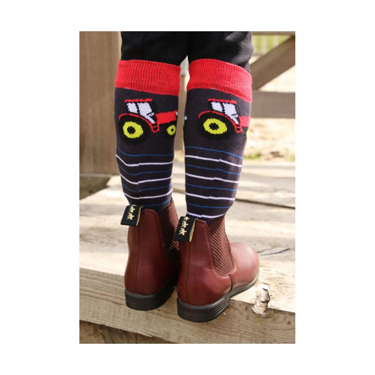 Tractor Collection Horse Riding Socks by Little Knight (Pack of 3)