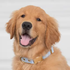 Waterproof  Adjustable Quick Release Collar