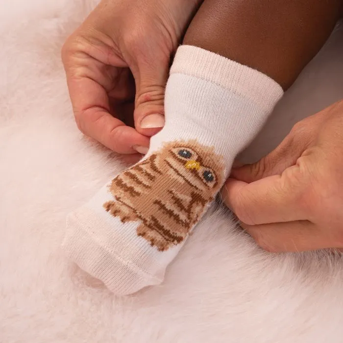 Wrendale 'Little Forest' Woodland Animal Baby Socks